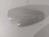 Mirror Cover, RH